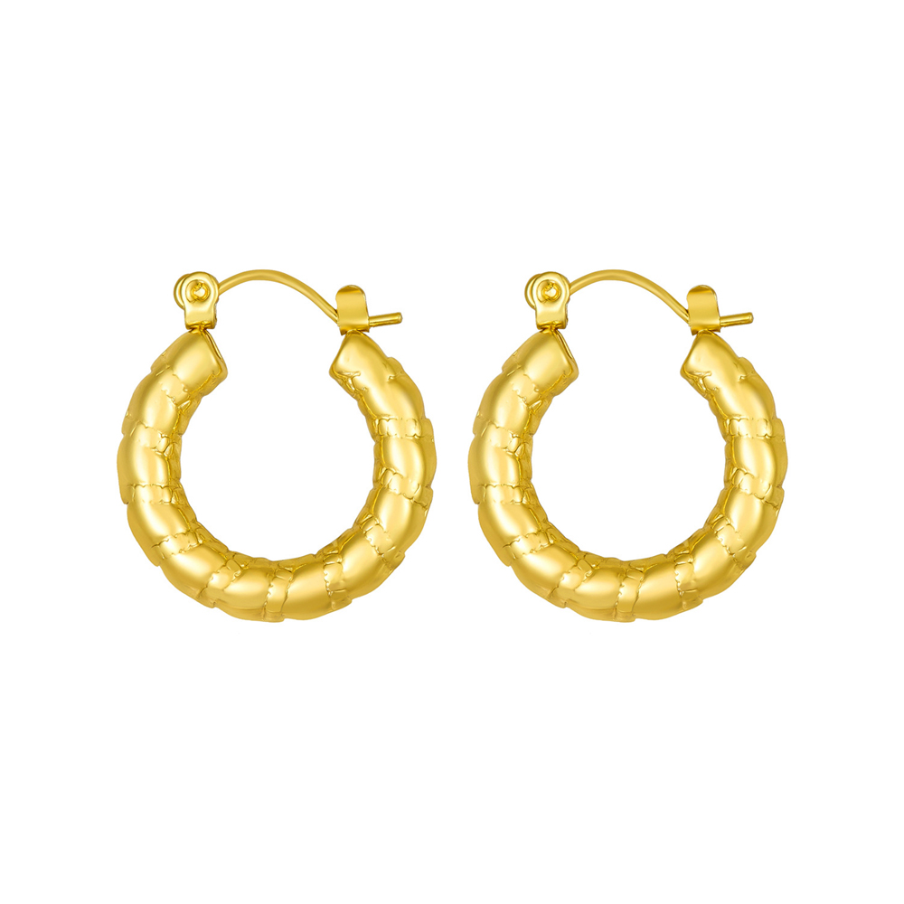 stainless steel earrings19